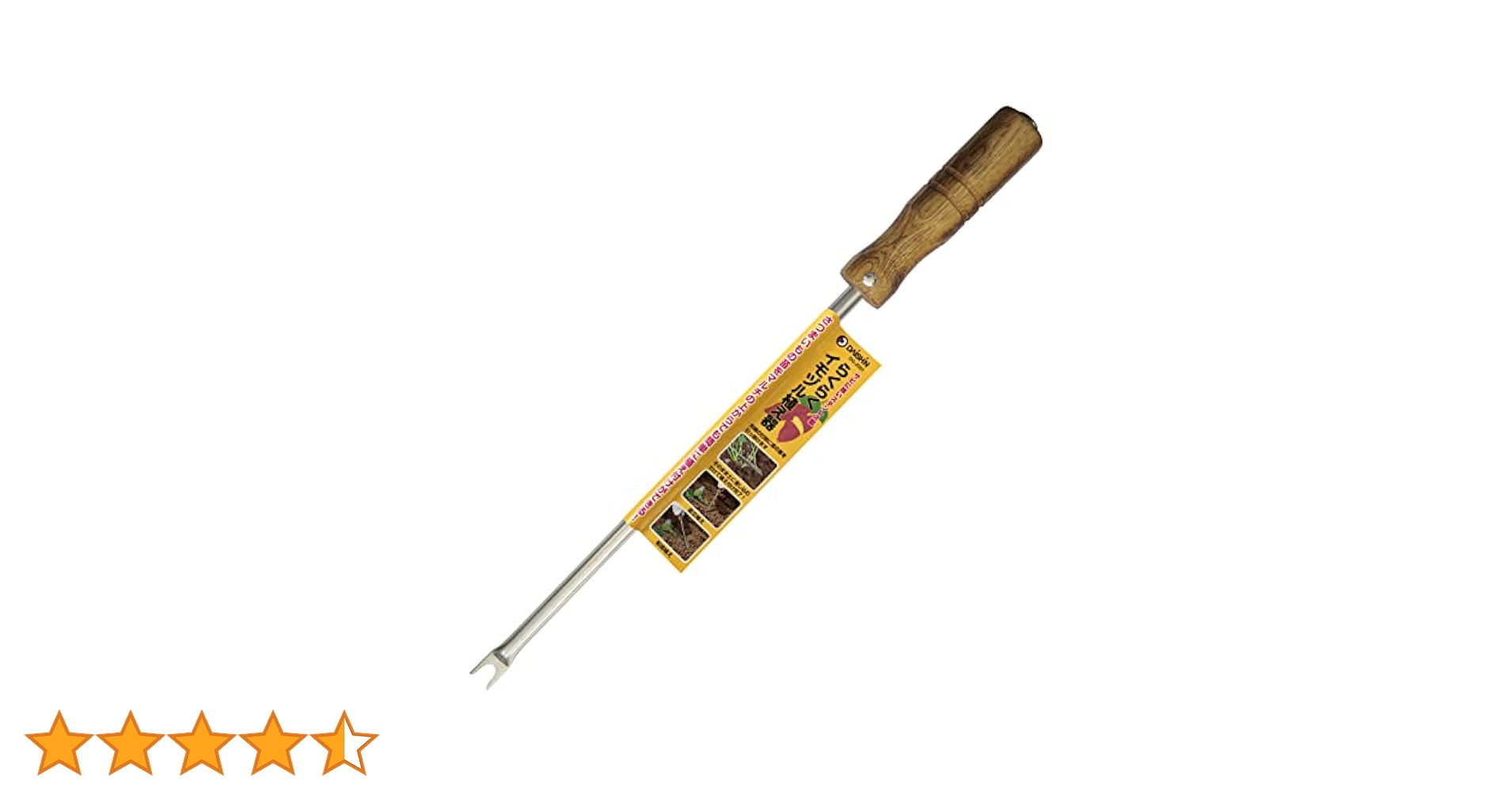 41IcIjZ8lPL.jpg_BO30,255,255,